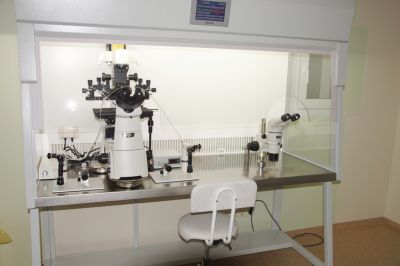 Рабочий стол эмбриолога